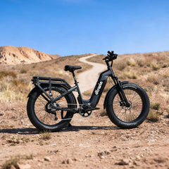 Dirwin Pioneer 2 - 750W Hunting Electric Bike