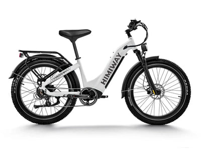 Himiway D5 ST(Zebra ST) / All-terrain Electric Fat Bike