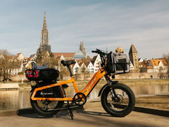 Cyrusher Glider Cargo E-Bike
