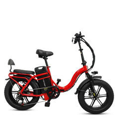 Victrip TITAN S 1000W Long Range E-Bike