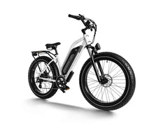Himiway D3 / Long Range Fat Tire Electric Bike