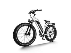 Himiway D3 / Long Range Fat Tire Electric Bike