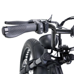 Nakto F2 Electric Bike 750W Motor - Black