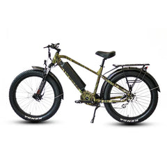 Eunorau FAT-HD 1.0 Pro / Hunter X7 Electric Bike