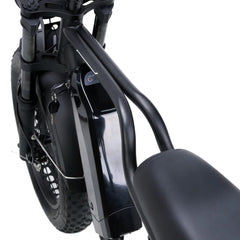 Nakto F2 Electric Bike 750W Motor - Black
