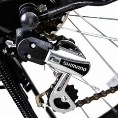 Nakto Camel Step-Thru Electric Bike 350W
