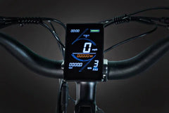 Bee Defender Step-Thru Full Suspension Step-Thru Mountain Electric Bike
