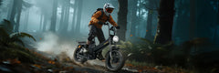 Tesway X7 AWD Step-Over Electric Bike 3600 Dual Motor 200NM Torque