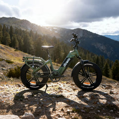 Dirwin Pioneer 2 - 750W Hunting Electric Bike