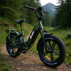 Dirwin Pioneer 2 - 750W Hunting Electric Bike