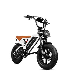 Victrip R6 Off Road E-Bike