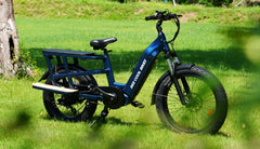 Bee Runner Long-Tail Cargo Electric Bike