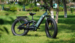 Bee Defender Step-Thru Full Suspension Step-Thru Mountain Electric Bike