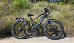 Bee Adventurer X2 Soft Tail Dual Motors Electric Bike