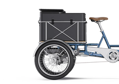 Letrigo Robin Cargo Electric Bike