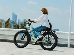 Velowave Ranger 3.0 Fat Tire All-Terrain Electric Bike