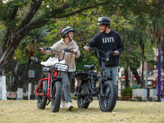 Velowave Prado S Commuter Electric Bike