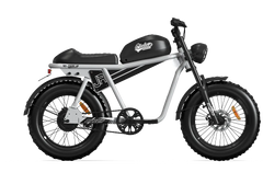 QIOLOR TIGER JR Commuter Electric Bike - 500W, 48V 15Ah