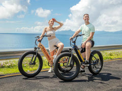 Velowave Rover Step-Thru Electric Bike
