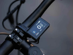 Velowave Forest SM Mountain Electric Bike