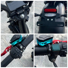 LinksEride Luxury Citycoco Scooter Fat Scooter - 4000w 80kmph