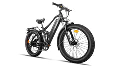 Bee Adventurer Soft Tail Long Range Electric Bike