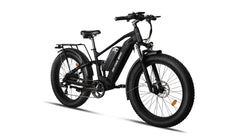 Bee Voyager Dual Batteries Soft Tail Electric Bike