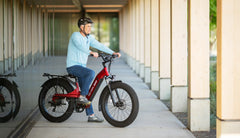 Bee Pathfinder Step-Thru Full Suspension Long Range Electric Bike