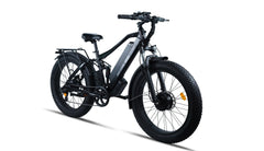 Bee Adventurer X2 Soft Tail Dual Motors Electric Bike