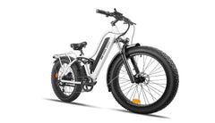 Bee Explorer Soft Tail Long Range Electric Bike