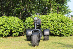 LinksEride X7 3-Wheel Golf Scooter Electric Trike Scooter