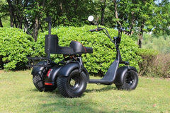 LinksEride X7 3-Wheel Golf Scooter Electric Trike Scooter