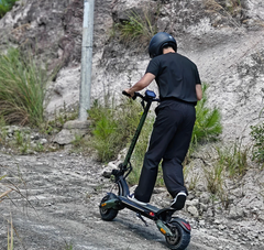 Nanrobot D6+ MAX Electric Scooter