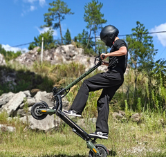 Nanrobot D6+ MAX Electric Scooter