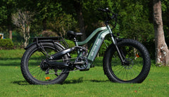 Bee Defender Super Frame Full Suspension Mountain Electric Bike