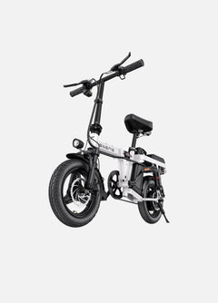 ENGWE T14 Folding Electric Bike