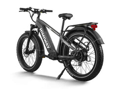 Himiway D5(Zebra) / All-terrain Electric Fat Bike