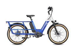 Letrigo Minivan Electric Bike