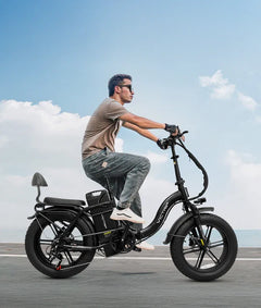 Victrip TITAN S 1000W Long Range E-Bike