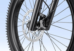 Letrigo Workhorse Electric Bike