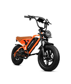Victrip R6 Off Road E-Bike