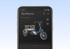 Letrigo Robin Cargo Electric Bike