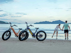 Velowave Rover Step-Thru Electric Bike