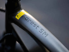 Velowave Forest SM Mountain Electric Bike