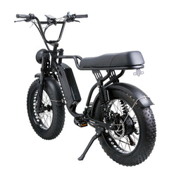Nakto F2 Electric Bike 750W Motor - Black