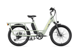 Letrigo Minivan SE Electric Bike