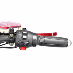 LinksEride CP6 Electric Motorcycle Scooter