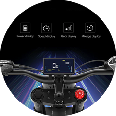 EKX X21 Adults Electric Bike 2000W 48V35AH 55km/h Lithium Battery Snow Electric Motorcycles 20“*4.0 Off Road Tyre Mountain Ebike
