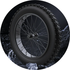 EKX X21 Adults Electric Bike 2000W 48V35AH 55km/h Lithium Battery Snow Electric Motorcycles 20“*4.0 Off Road Tyre Mountain Ebike
