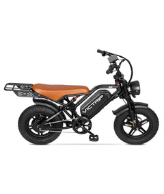 Victrip R6 Off Road E-Bike